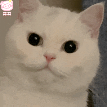 图片关键词 图片